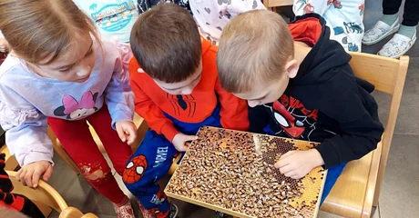 FOTO Članovi Udruge pčelara &bdquo;Medarica&rdquo; darovali mališanima Dječjeg vrtića Novi Marof 40 teglica meda