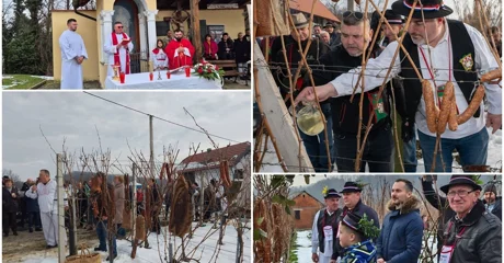 FOTO Živo je bilo u vinogradima diljem županije &ndash; prizvana još jedna dobra i rodna godina!