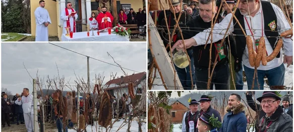 FOTO Živo je bilo u vinogradima diljem županije &ndash; prizvana još jedna dobra i rodna godina!