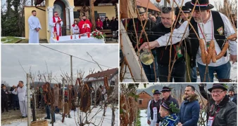FOTO Živo je bilo u vinogradima diljem županije &ndash; prizvana još jedna dobra i rodna godina!