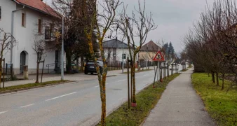 Idući tjedan uklanjanje lošeg drvoreda u Malezovoj i Varaždinskoj te kestena u Malom parku