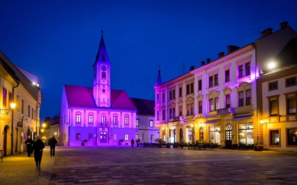 U Hrvatskoj 40 00 ljudi ima epilepsiju - u znak podrške oboljelima vijećnica osvijetljena ljubičastom bojom