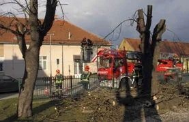 Uklanjaju se bolesni kesteni koji prijete sigurnosti djece i građana