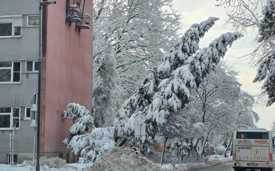 Gradonačelnik Bosilj: &bdquo;Sve ekipe su na terenu, ceste u očišćene, porušeno drveće se odvozi&rdquo;