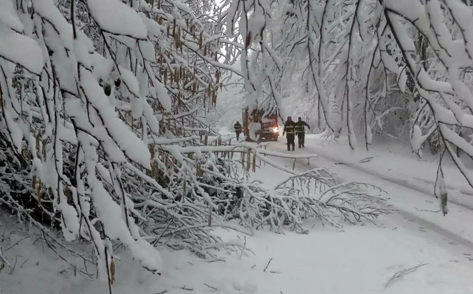 Bez sirena, ali s velikim srcem: DVD Novi Marof odradio niz zahtjevnih intervencija