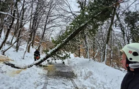 Načelnik Korotaj zahvalio svima koji su danonoćno čistili prometnice od snijega