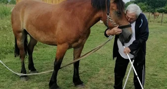 Nakon niza godina neizvjesnosti, budućnost autohtone pasmine više ne bi smjela biti upitna