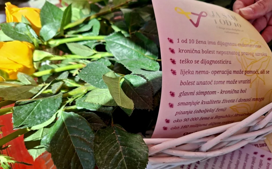 Održana javnozdravstvena akcija Dan žutih ruža - akcija o podizanju svijesti o endometriozi