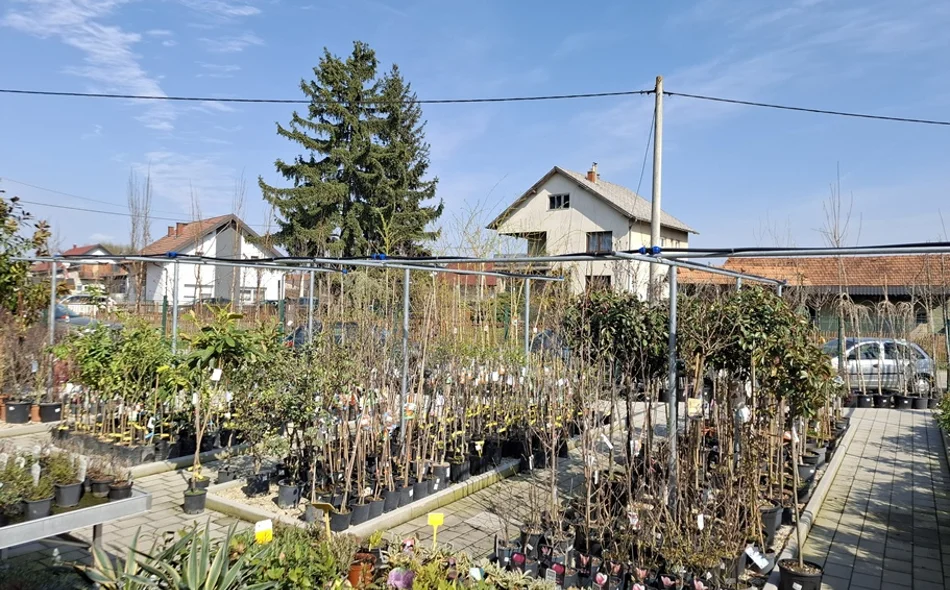 Vrtni centar Iva u Nedeljancu slavi 1. rođendan!