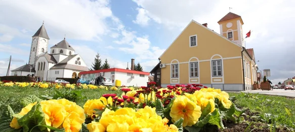 Općina koja bilježi mlađu prosječnu starost i slabiju izraženost pada stanovništva