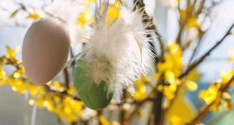 Dodjela uskrsnica za vidovečke umirovljenike i korisnike nacionalne naknade za starije osobe