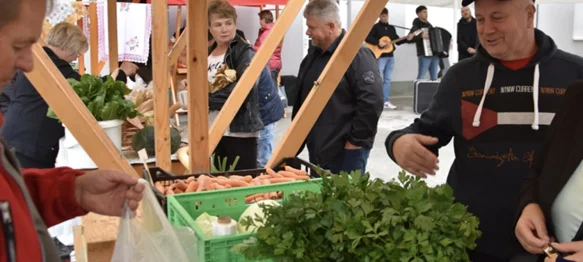 Besplatni napuhanci, živa glazba i bogata gastro ponuda. Ne propustite prvi jesenski Plac u Cestici!
