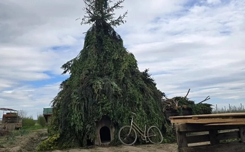 FOTO Veselo je bilo oko vuzmenki, a njihovi graditelji niti ove godine nisu razočarali