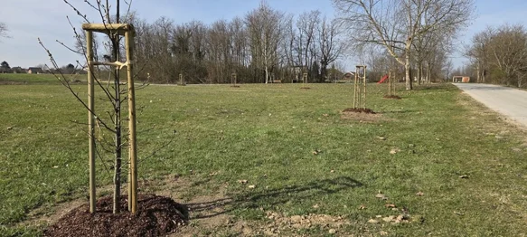 Općina Petrijanec postaje bogatija za 826 stabala i 535 sadnica grmlja na čak 18 lokacija