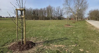 Općina Petrijanec postaje bogatija za 826 stabala i 535 sadnica grmlja na čak 18 lokacija