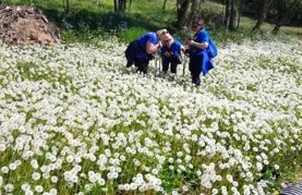 Zanimljiva ruta, lijepo vrijeme i dobra organizacija privukli brojne planinare i rekreativce