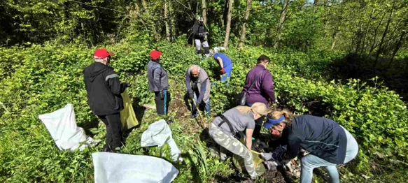 FOTO Brojni građani odazvali se Zelelnoj čistki i prikupili više od 30 kubika otpada