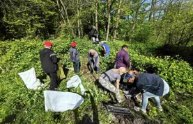 FOTO Brojni građani odazvali se Zelelnoj čistki i prikupili više od 30 kubika otpada