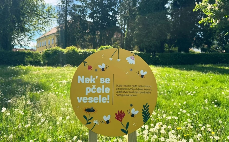 &bdquo;Nek' se pčele vesele!&rdquo; &ndash; travnjak koji cvjeta nije zapušten, već živ i koristan