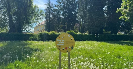 &bdquo;Nek' se pčele vesele!&rdquo; &ndash; travnjak koji cvjeta nije zapušten, već živ i koristan