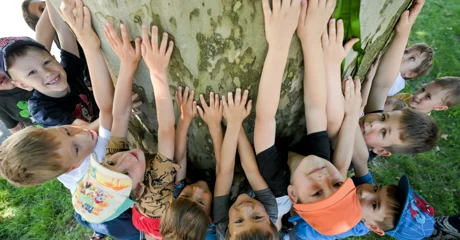 FOTO Javorolisna platana ovogodišnje je Stablo godine grada Varaždina