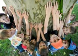 FOTO Javorolisna platana ovogodišnje je Stablo godine grada Varaždina