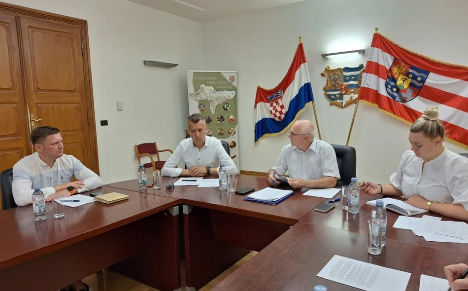 Savjet predlaže nova rješenja za kamere, uspornike i izazove električnih vozila