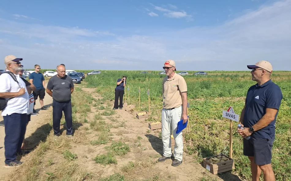 Svibanjske i lipanjske kiše spasile su krumpir kojemu nisu naštetile niti ekstremne vrućine