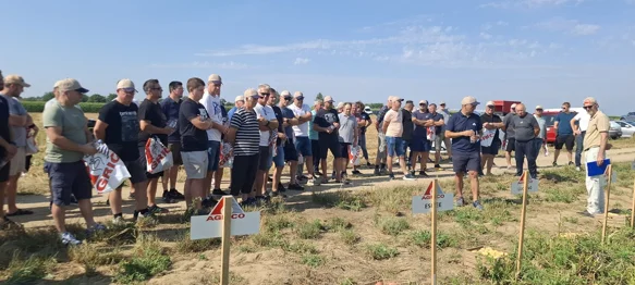 Svibanjske i lipanjske kiše spasile su krumpir kojemu nisu naštetile niti ekstremne vrućine