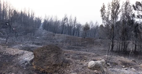 Varaždinska županija uplatila Gradu Omišu 25.000 eura za sanaciju posljedica požara