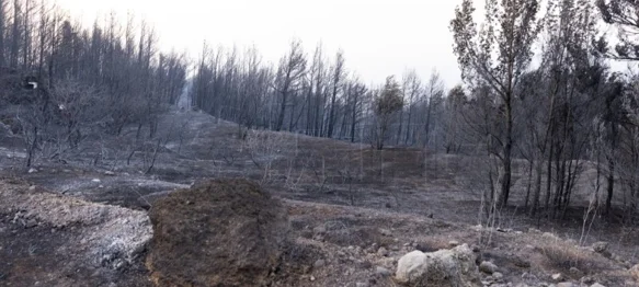 Varaždinska županija uplatila Gradu Omišu 25.000 eura za sanaciju posljedica požara