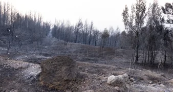 Varaždinska županija uplatila Gradu Omišu 25.000 eura za sanaciju posljedica požara