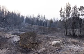 Varaždinska županija uplatila Gradu Omišu 25.000 eura za sanaciju posljedica požara