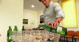 U Cestici održan Festival vinskih strasti