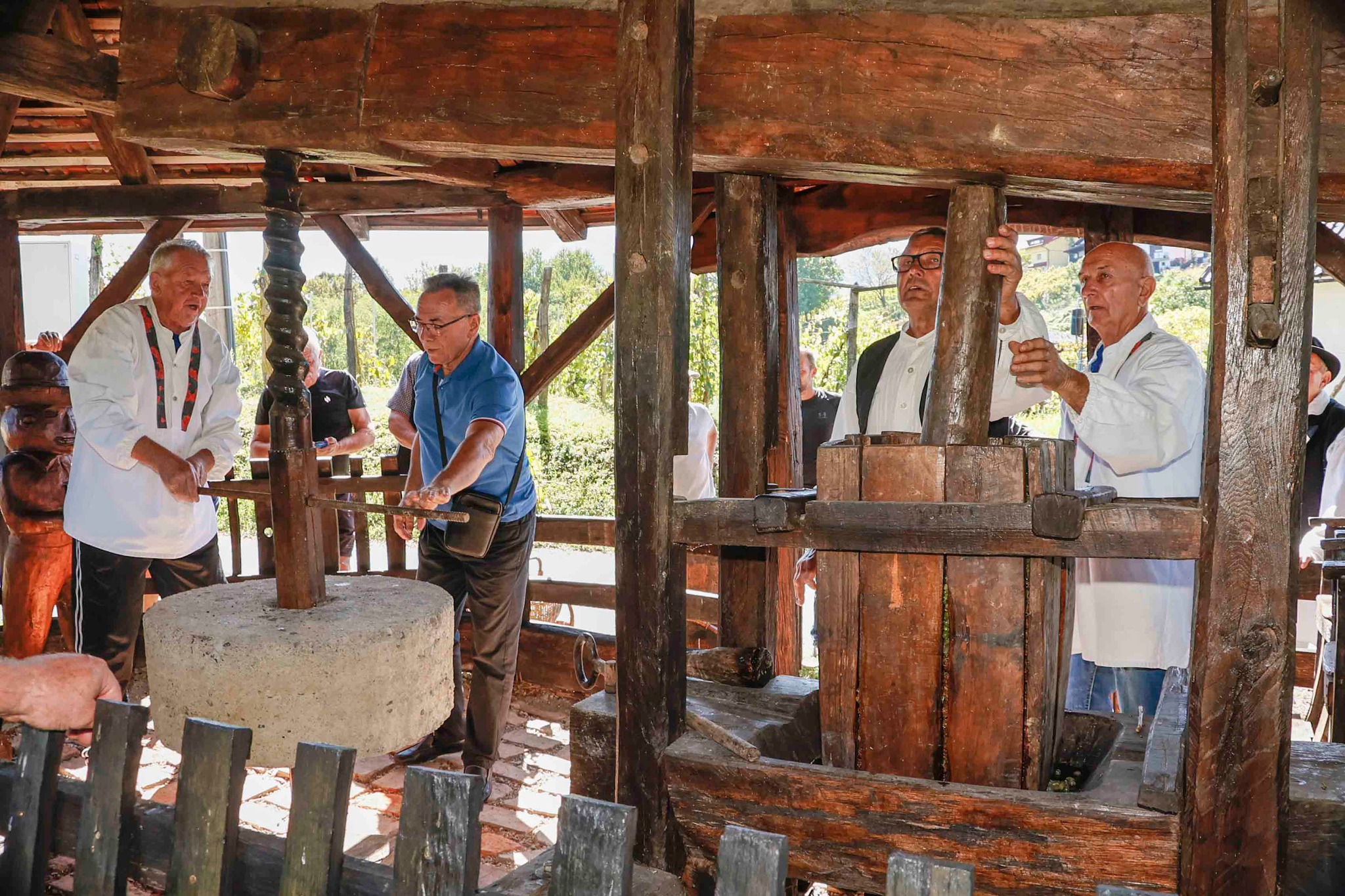 550273187 797704215976442 3379519876681841508 n