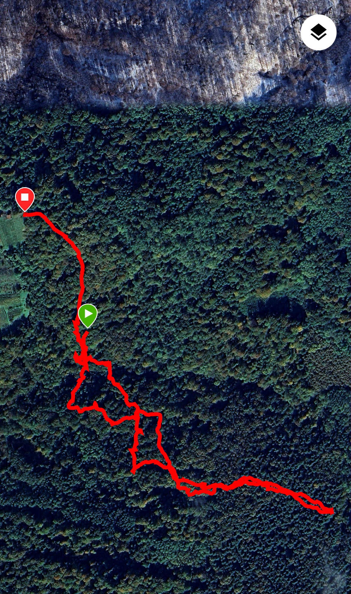 555034801 25159600773637318 3260531748704665411 n