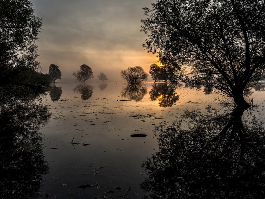 Lonjsko polje foto Goran Doric 20250812
