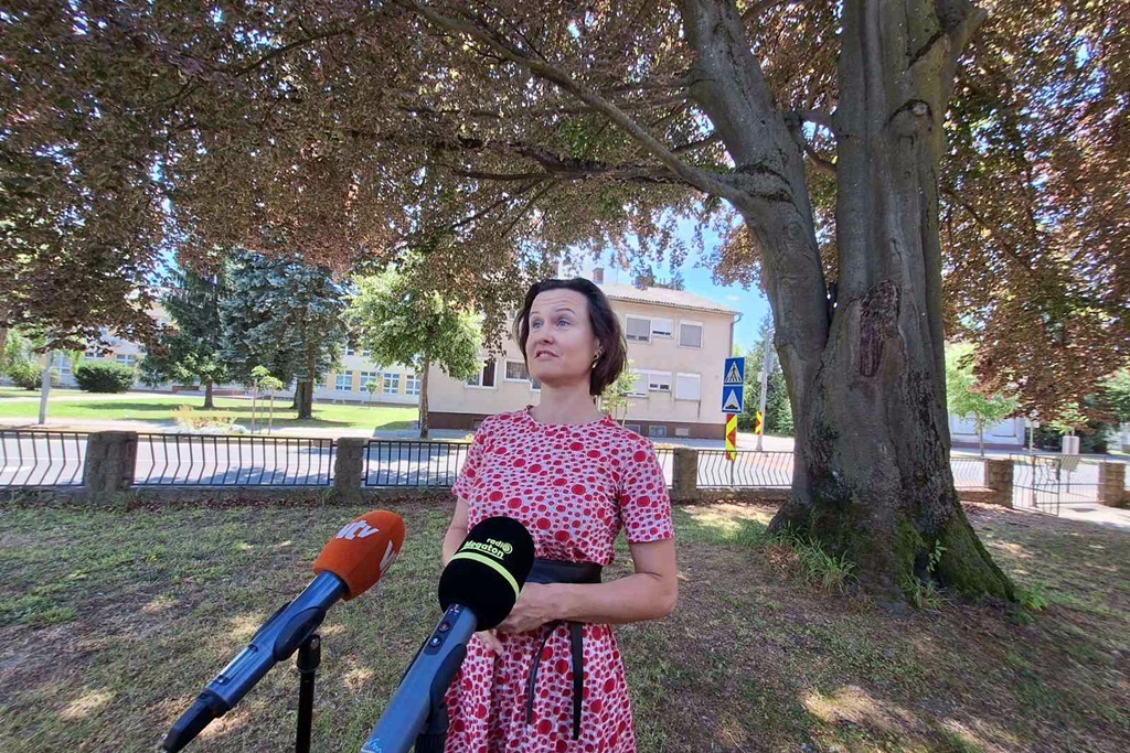 Novi Marof crvenolisna bukva stablo godine 1 20250619