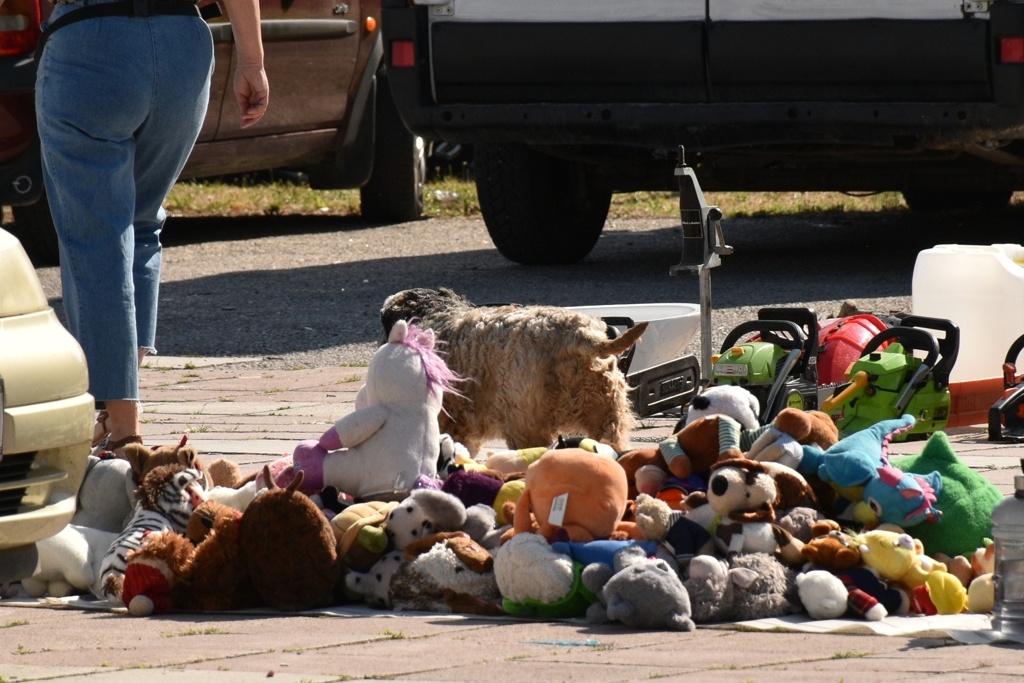 Sajmiste Stara krama foto Jan Kolaric 7 20250710