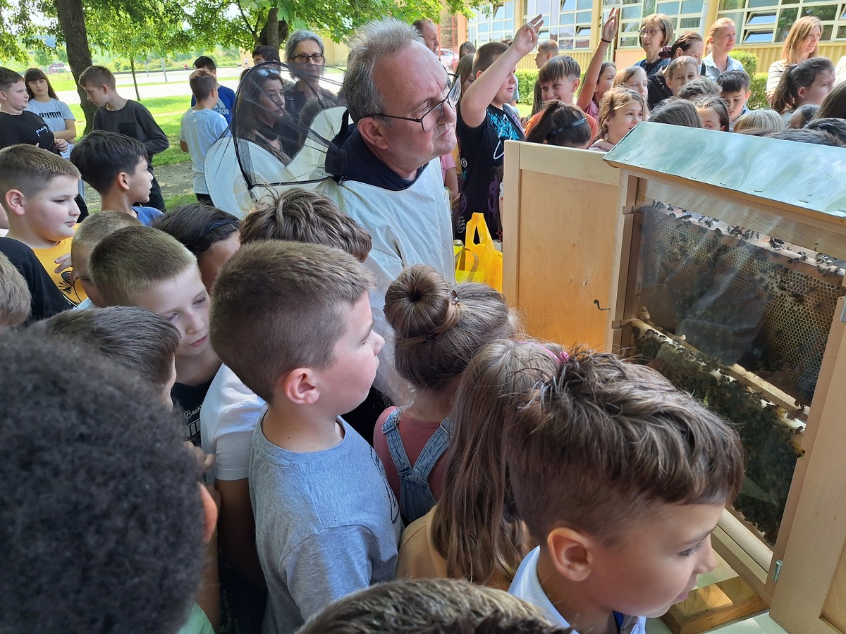 Svjetski dan pcela 5