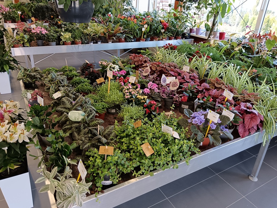 Vrtni centar Iva Nedeljanec 15