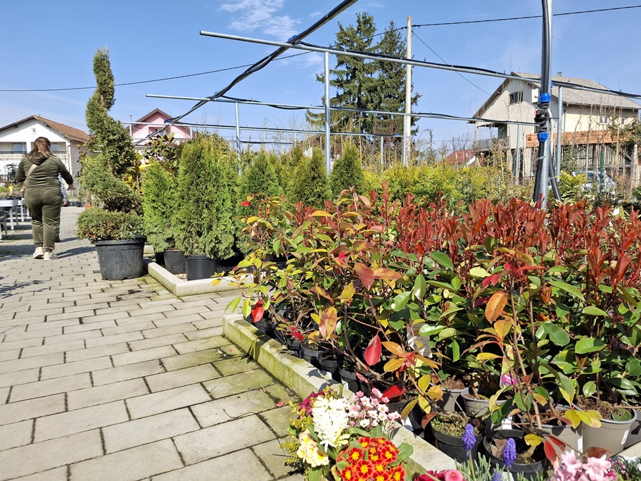 Vrtni centar Iva Nedeljanec 2