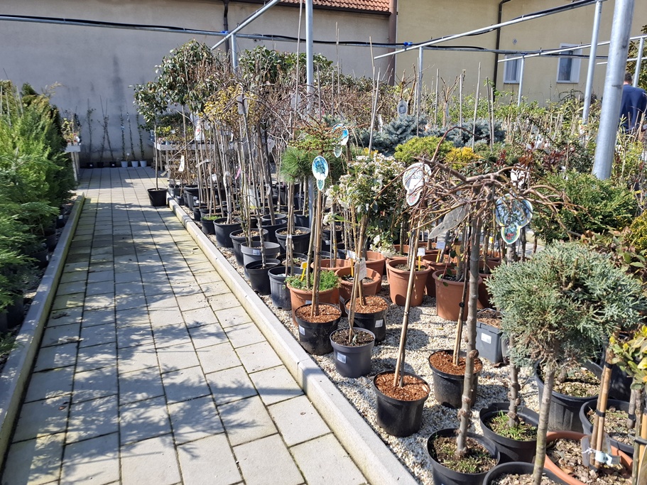 Vrtni centar Iva Nedeljanec 5