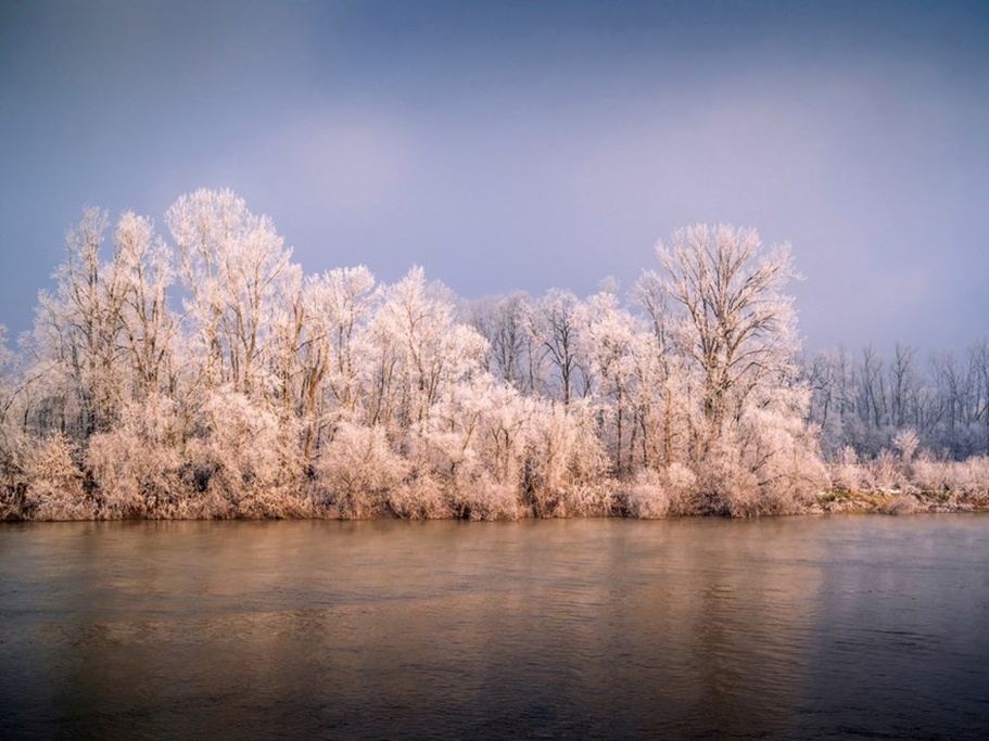 Zupanja foto Vladimir Turk 20250812