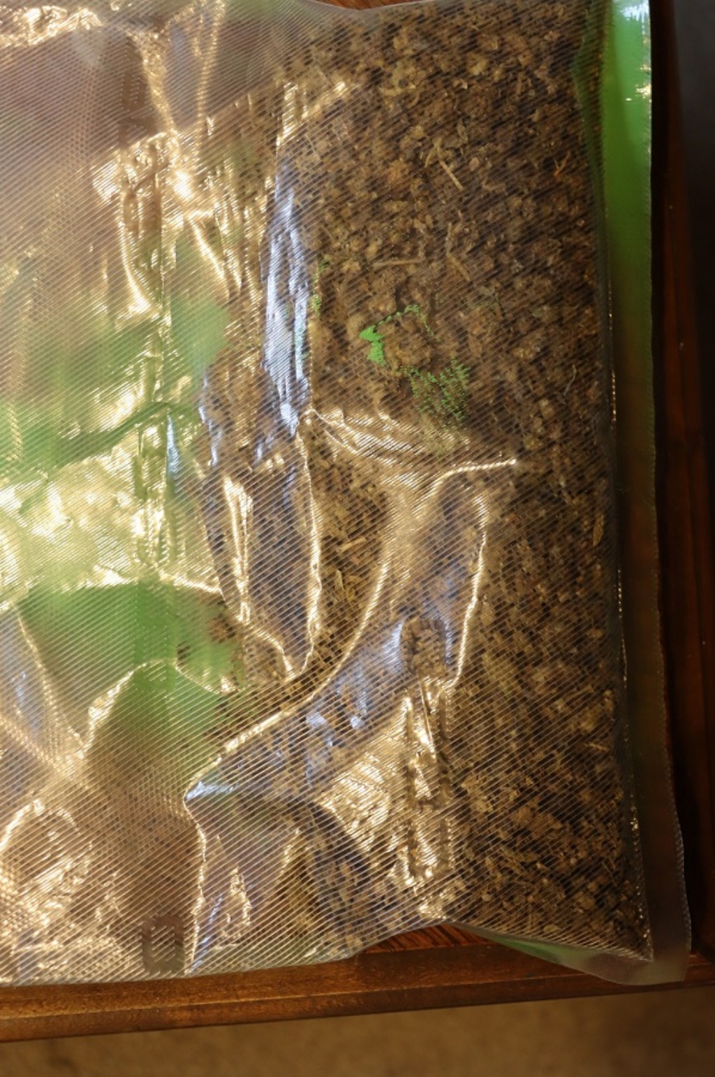 puvz zaplijena droga 3