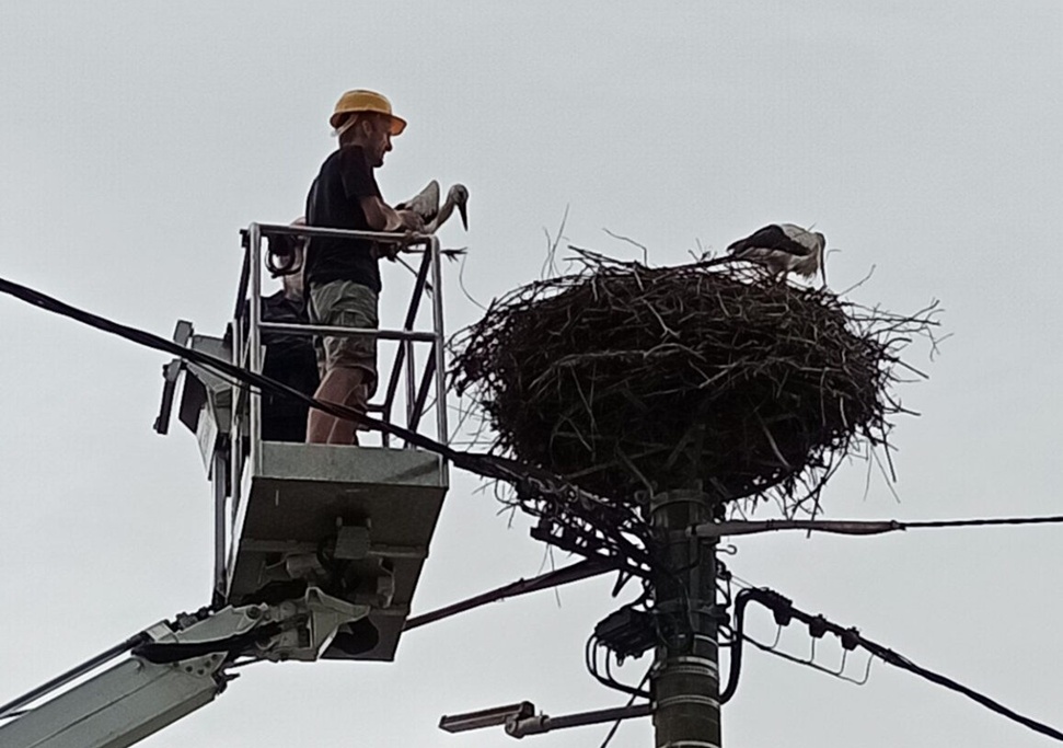 spasavanje bijele rode Zebanec selo 2 1157x1536 20250717