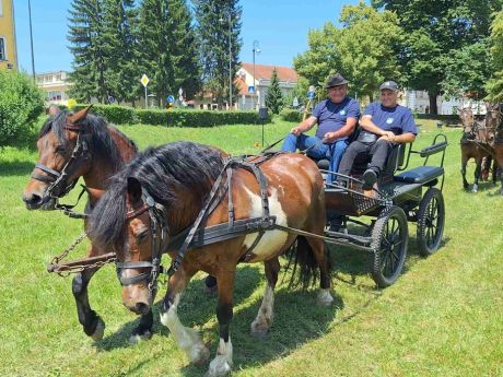 140625_dan kocija_3 20250614.jpg