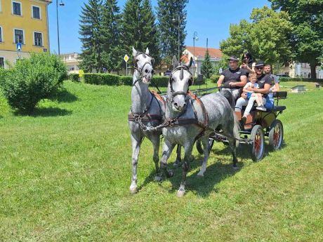 140625_dan kocija_5 20250614.jpg