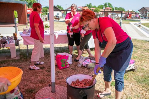 udruge srainec12.jpg