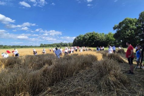 trnovec-zetvene svecanosti 1 20250630.jpg